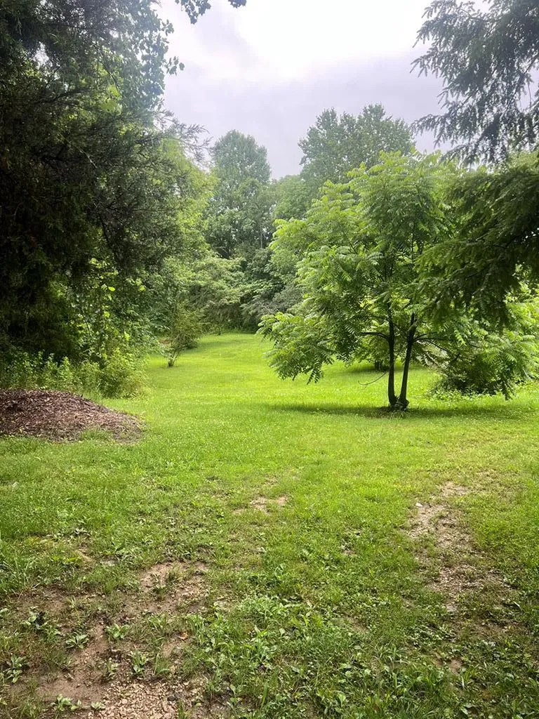 6515 Brown Ridge Road Baxter TN 38544