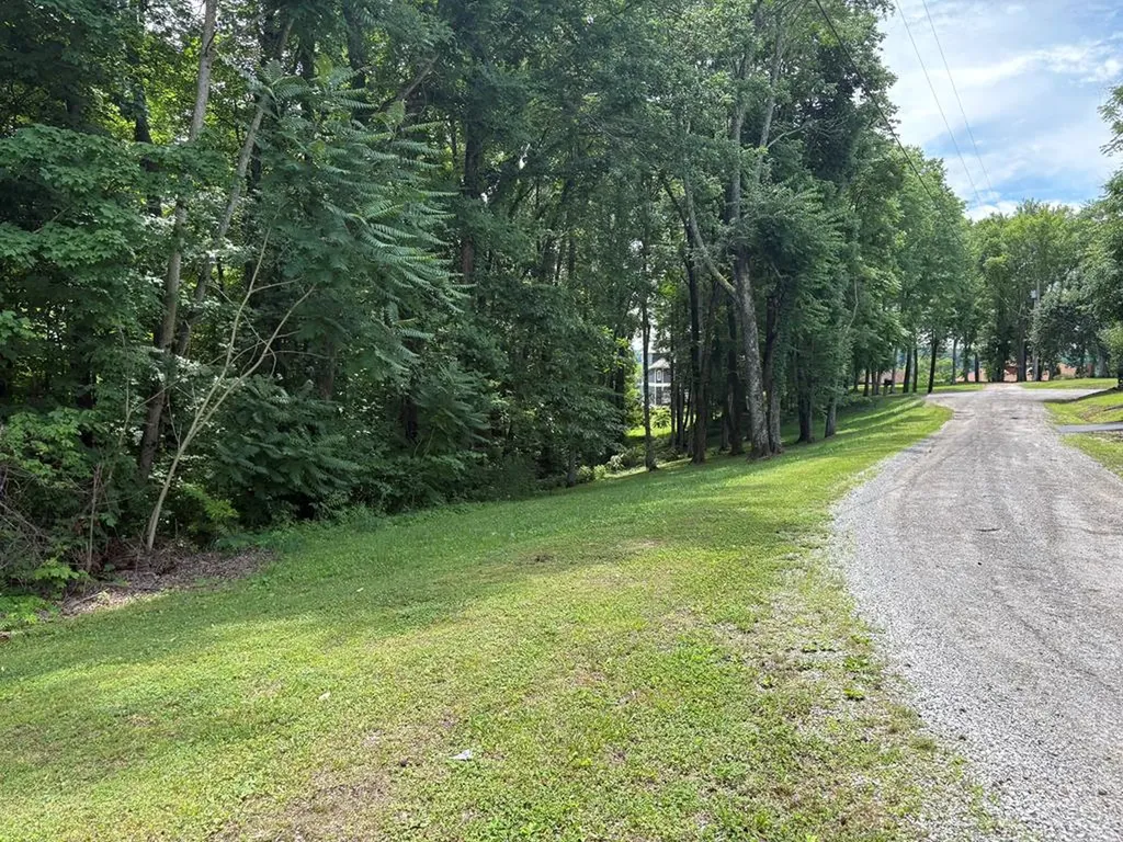 0 Lafever Ridge Road Silver Point TN 38582