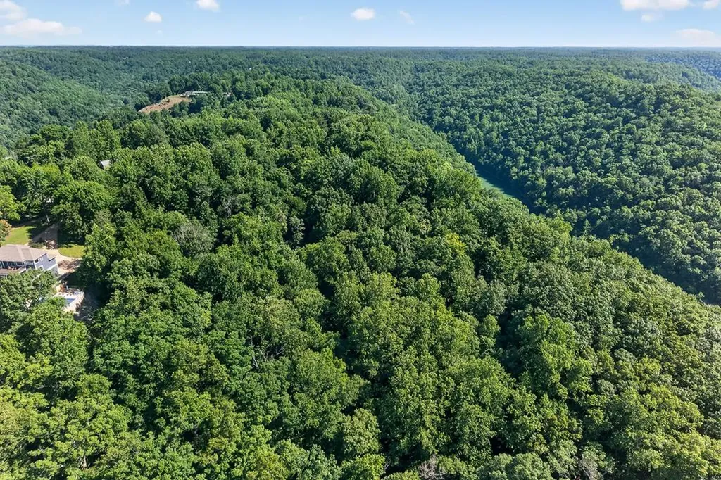 0 Lafever Ridge Road 5.05 Acres Silver Point TN 38582