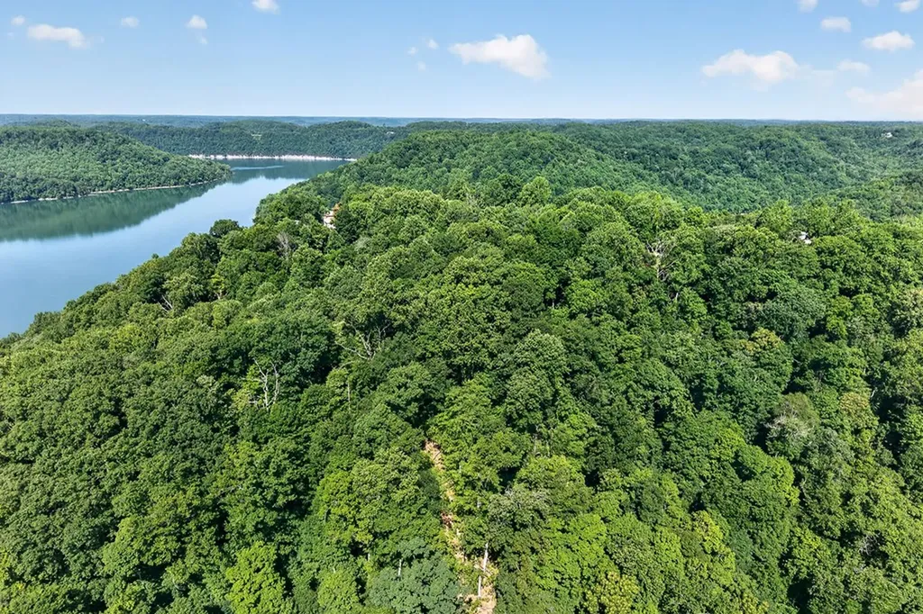 0 Lafever Ridge Road 5.05 Acres Silver Point TN 38582