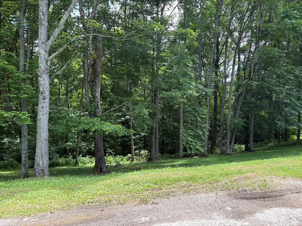 0 Lafever Ridge Road Silver Point TN 38582