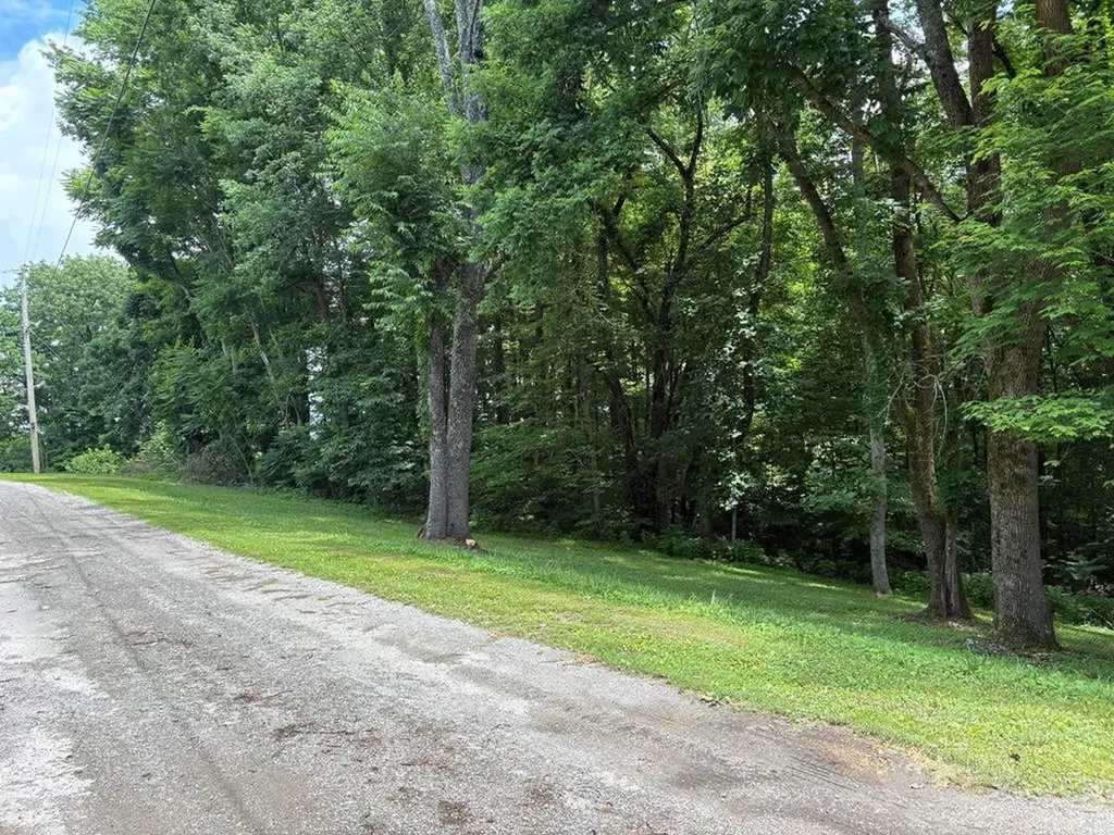 0 Lafever Ridge Road Silver Point TN 38582