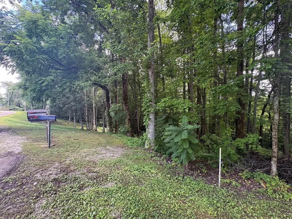 0 Lafever Ridge Road Silver Point TN 38582