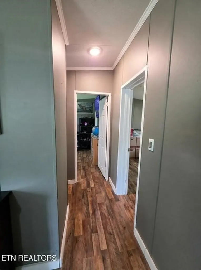 419 Tulip Avenue Jamestown TN 38556