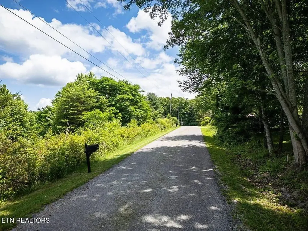 419 Tulip Avenue Jamestown TN 38556