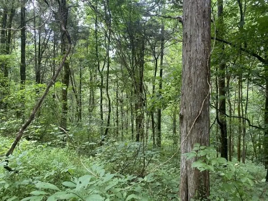 0 N Of Eagle Ridge Ln Lot 34 Granville TN 38564