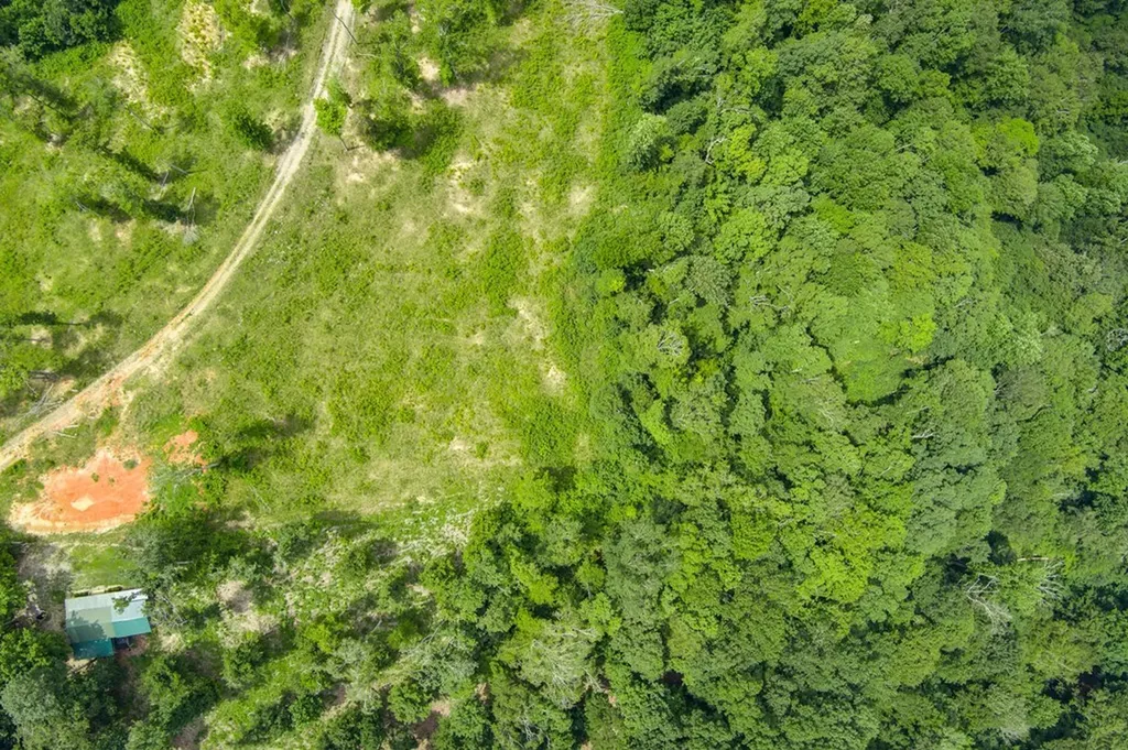 LOT2TR2 Taylor Road Byrdstown TN 38549