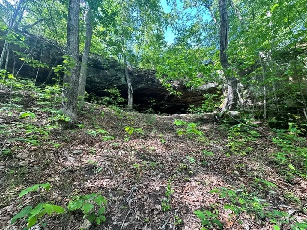 00 Bear Knob Lane Crawford TN 38554