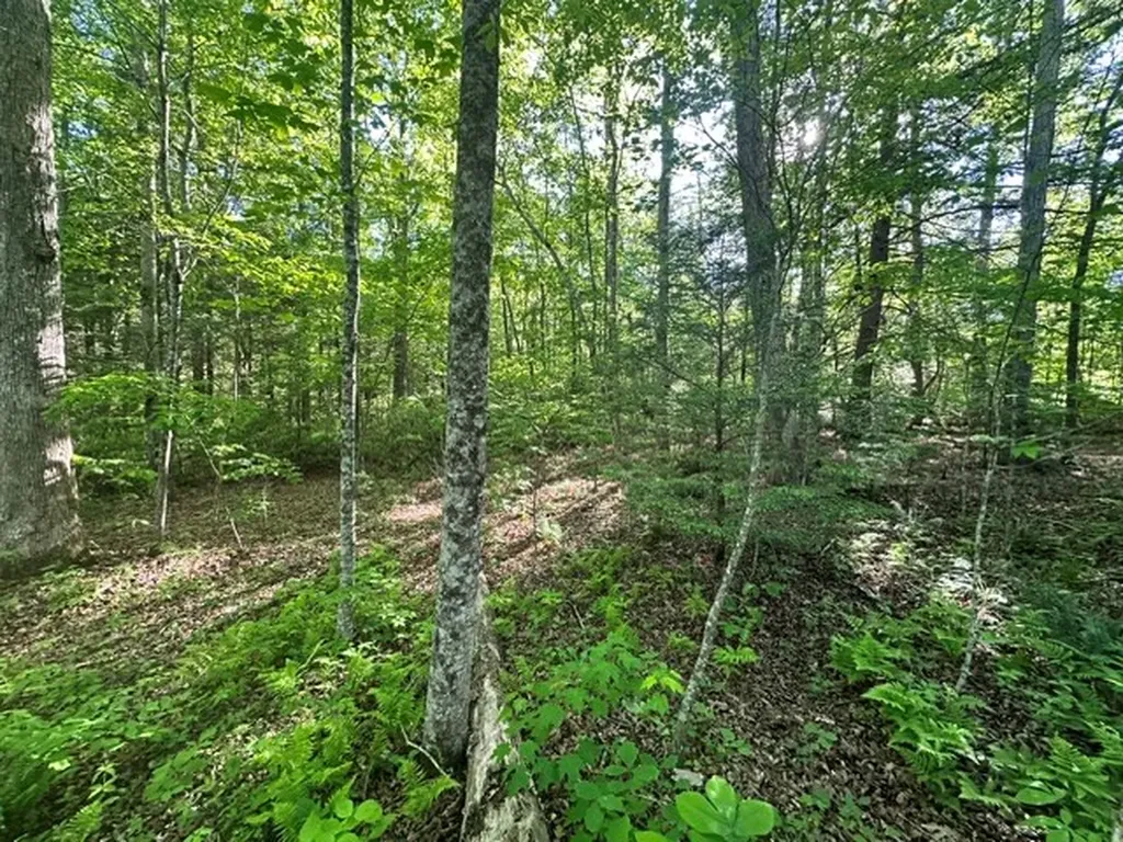 00 Bear Knob Lane Crawford TN 38554
