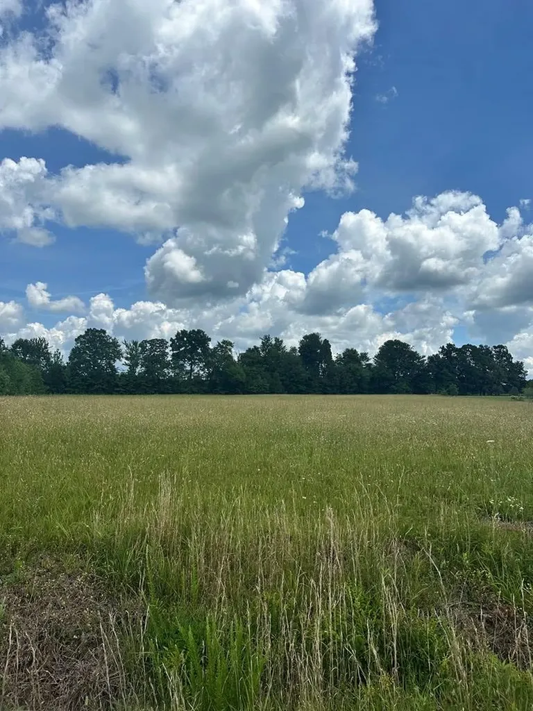 301 Rolling Meadows Lane Rickman TN 38580