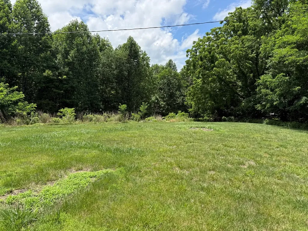 581 Shady Grove Road Bloomington Springs TN 38545