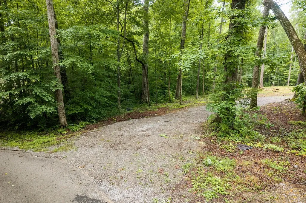 222 Witherspoon Drive Smithville TN 37166