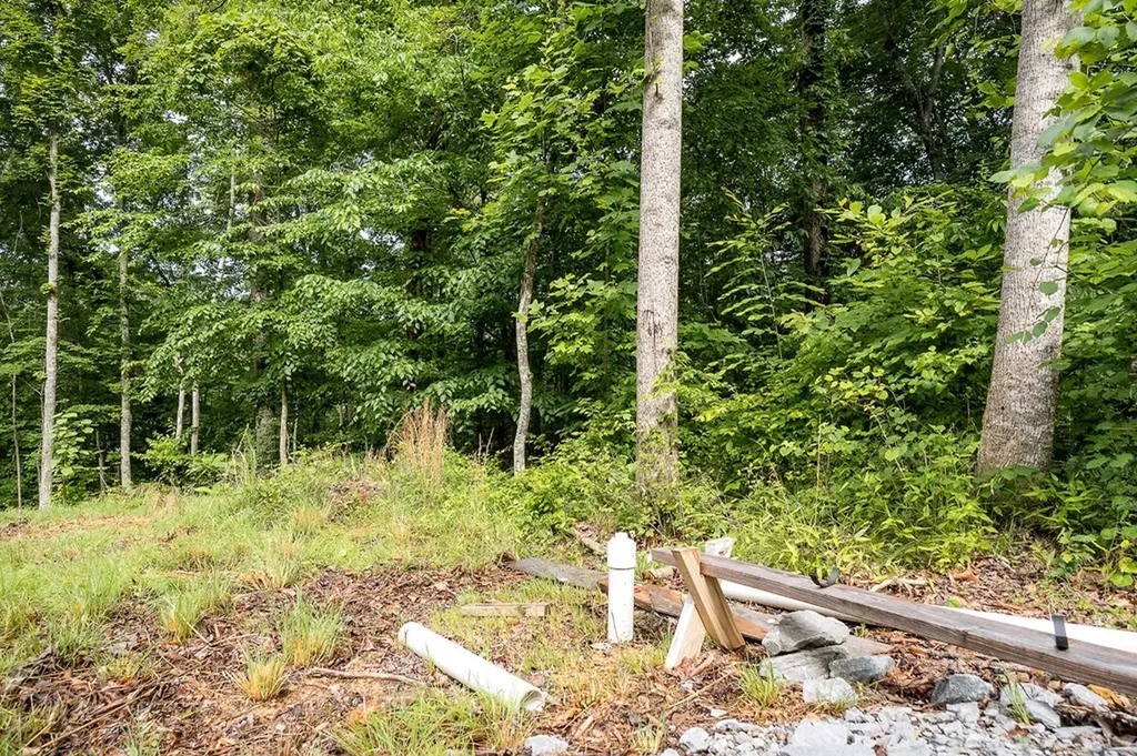 222 Witherspoon Drive Smithville TN 37166