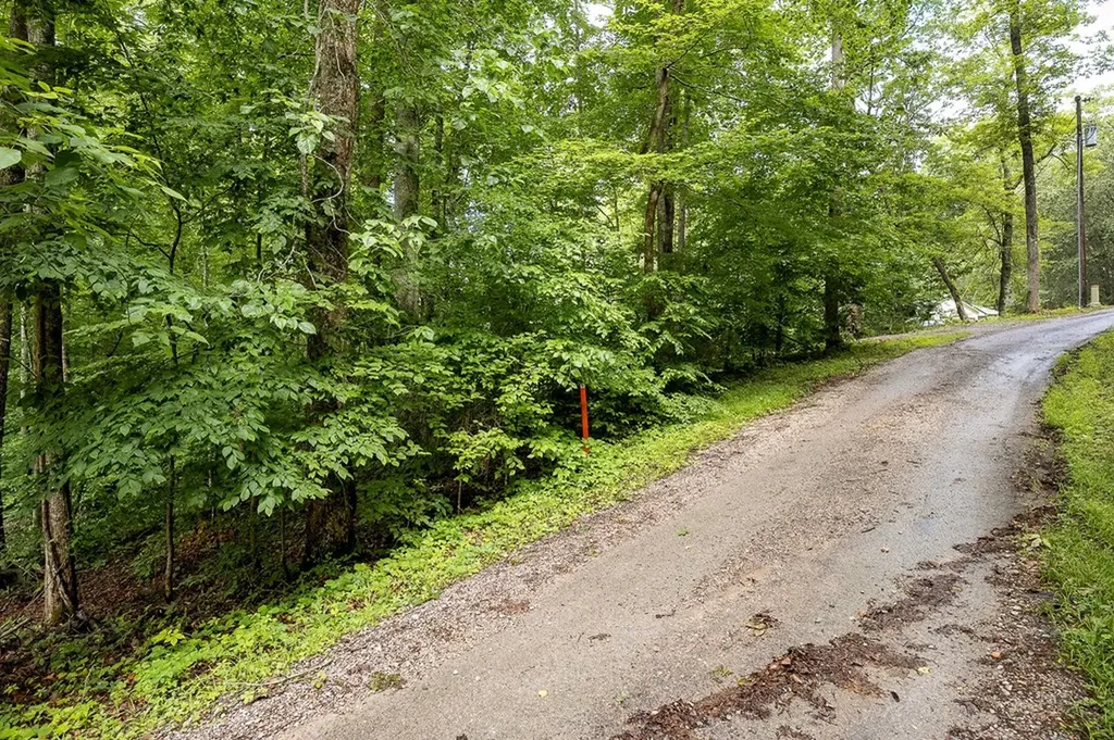222 Witherspoon Drive Smithville TN 37166