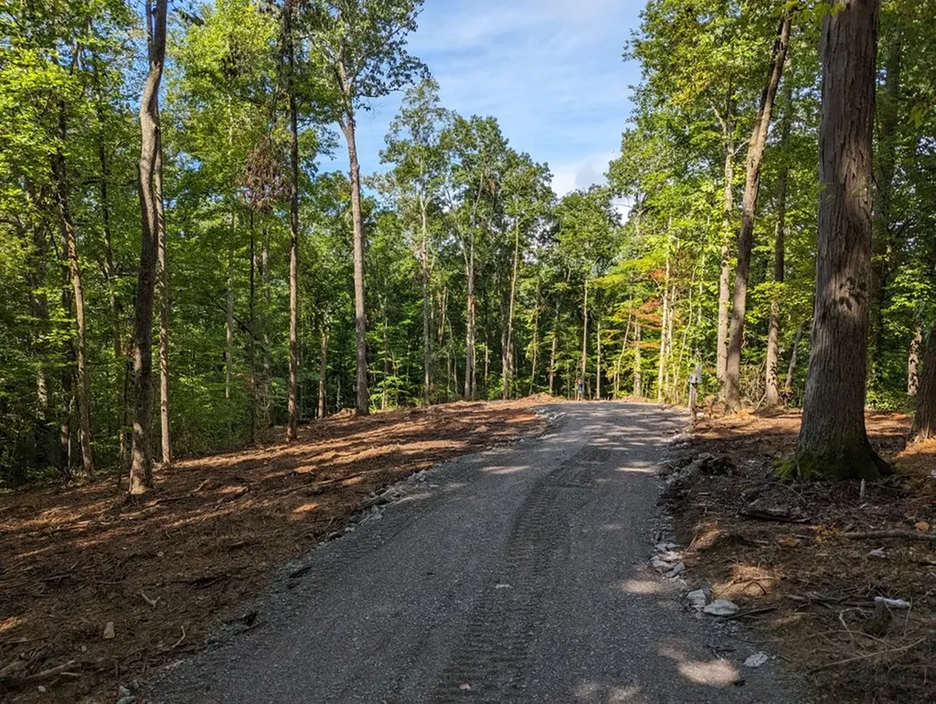 222 Witherspoon Drive Smithville TN 37166