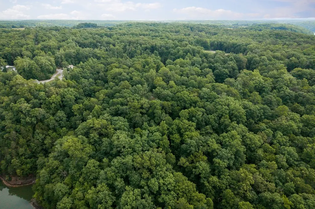 222 Witherspoon Drive Smithville TN 37166