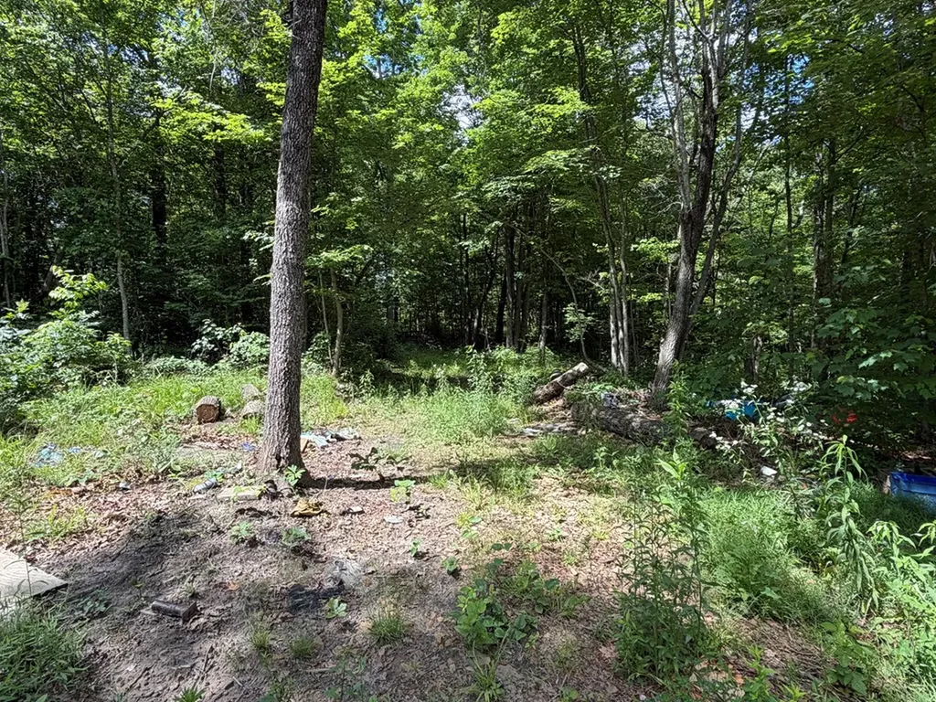 768 Remington Road Jamestown TN 38556