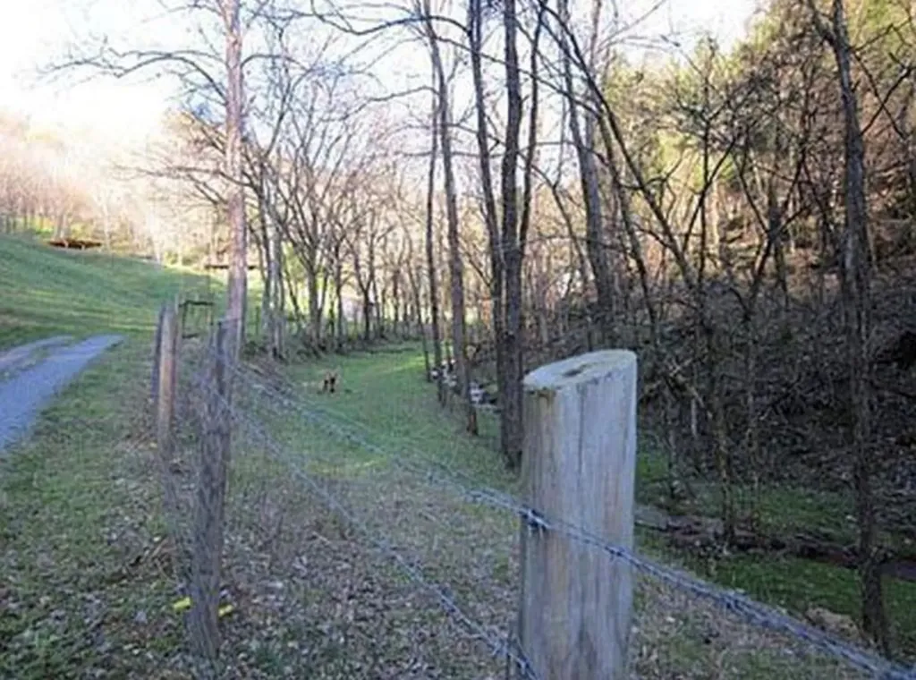 360 Spurlock Hollow Lane Gainesboro TN 38562
