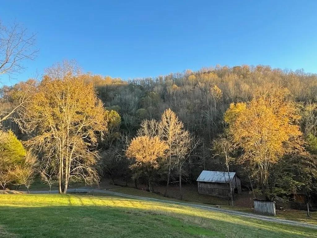 360 Spurlock Hollow Lane Gainesboro TN 38562