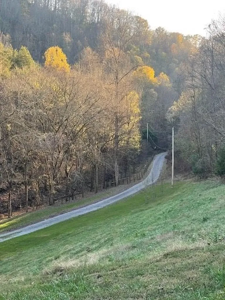 360 Spurlock Hollow Lane Gainesboro TN 38562