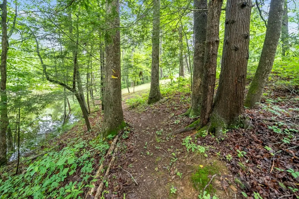 0.42AC Siever Road Crossville TN 38572