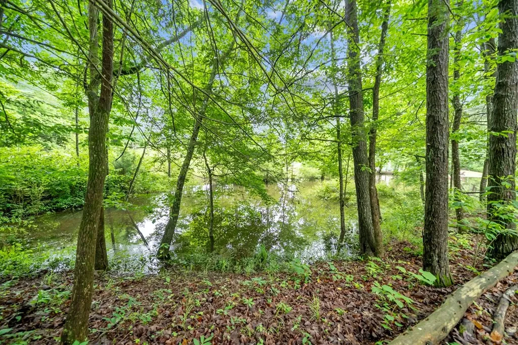 0.42AC Siever Road Crossville TN 38572