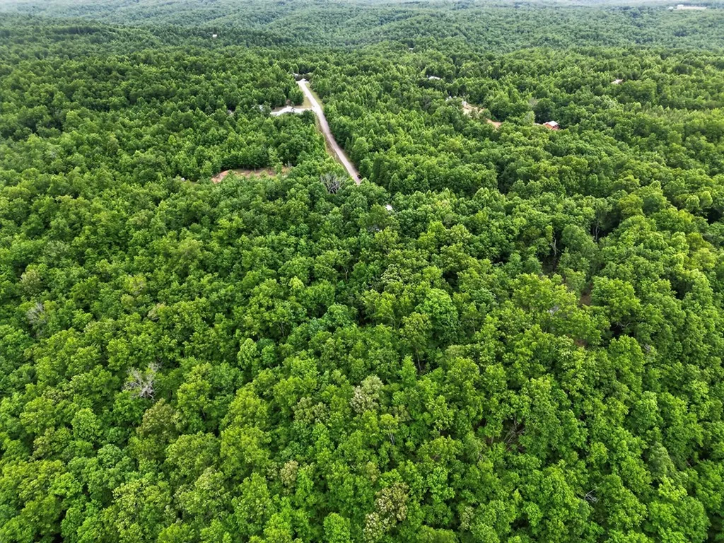 55214 Maynard Ridge Lane Crawford TN 38554