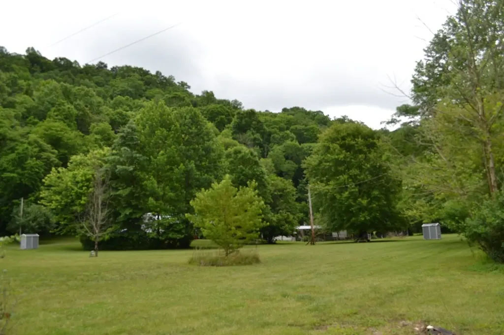 1557 Add Stafford Road Hilham TN 38568