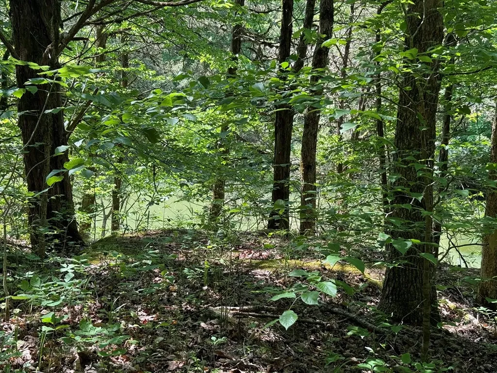 133 Cook Lane Gainesboro TN 38562