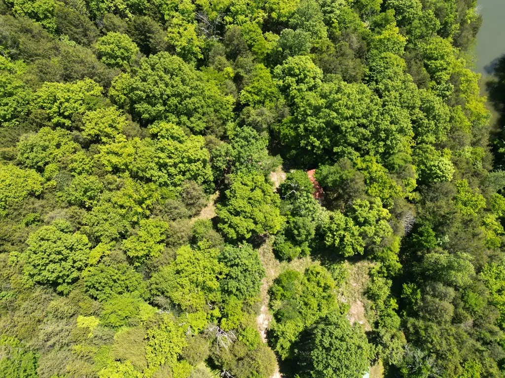 133 Cook Lane Gainesboro TN 38562