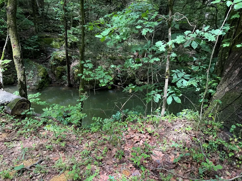 133 Cook Lane Gainesboro TN 38562