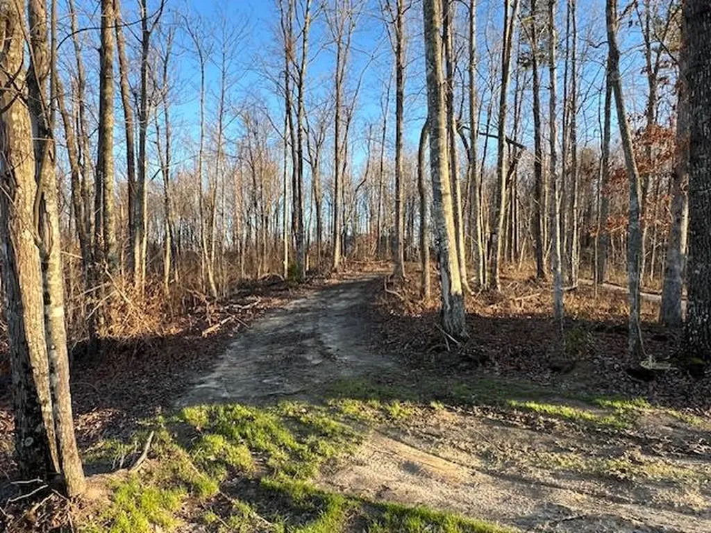 1023 Flat Rock Road Jamestown TN 38556