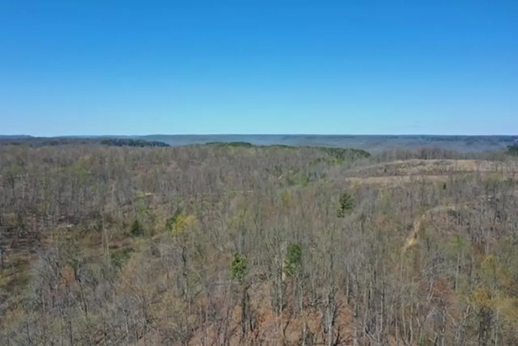 1023 Flat Rock Road Jamestown TN 38556