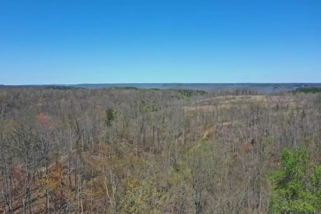 1023 Flat Rock Road Jamestown TN 38556