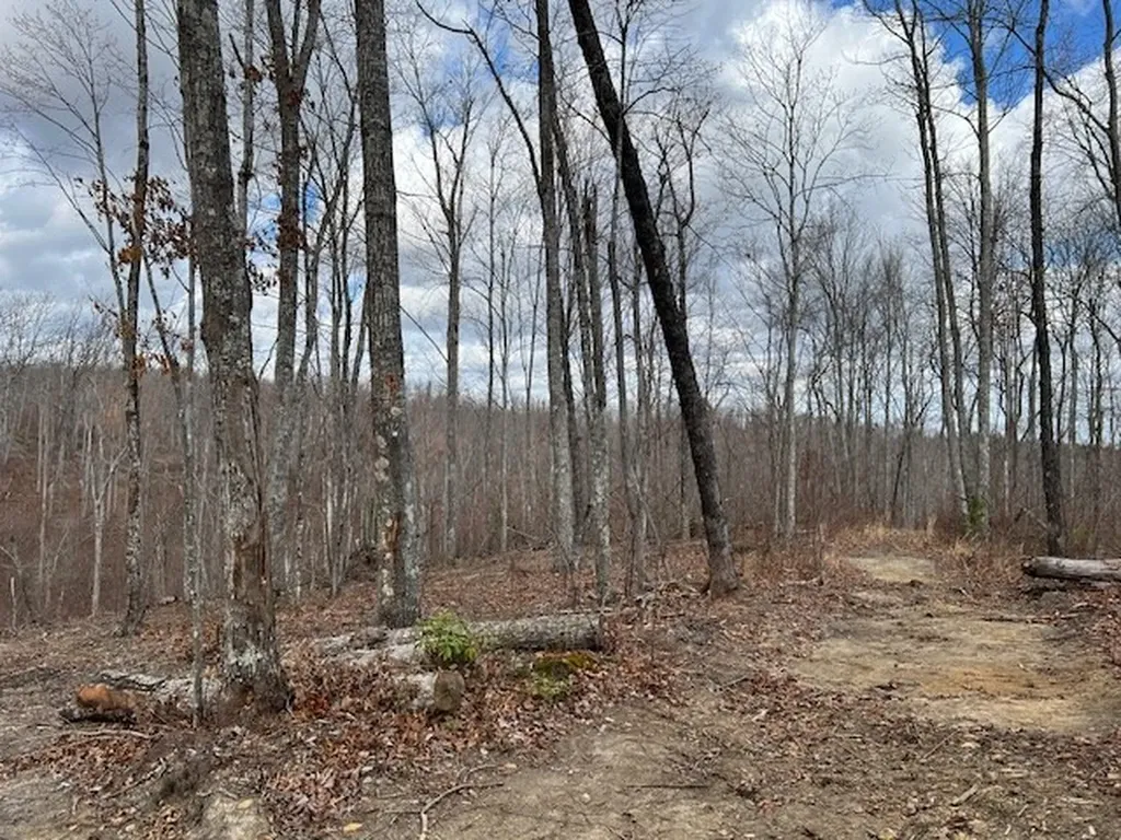 1023 Flat Rock Road Jamestown TN 38556
