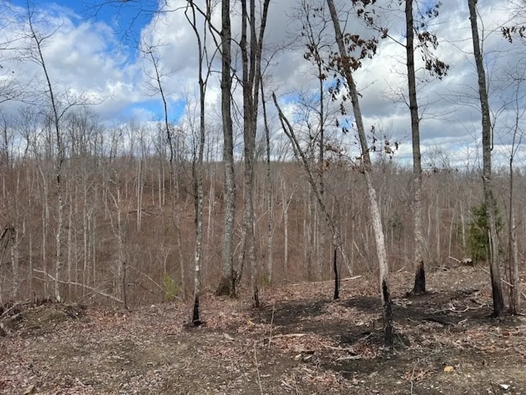 1023 Flat Rock Road Jamestown TN 38556