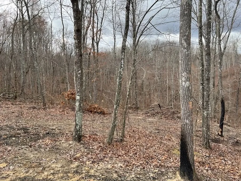 1023 Flat Rock Road Jamestown TN 38556