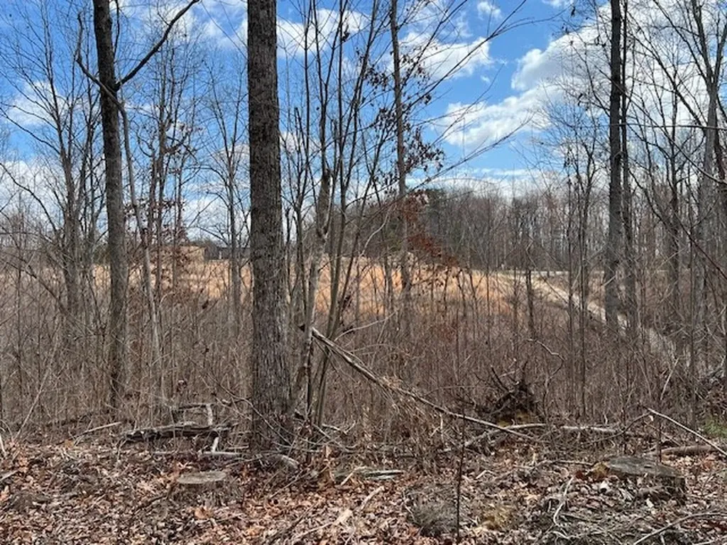 1023 Flat Rock Road Jamestown TN 38556