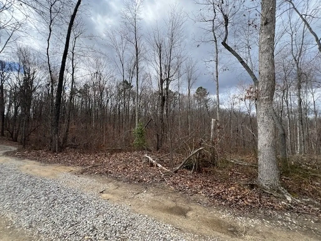 1023 Flat Rock Road Jamestown TN 38556