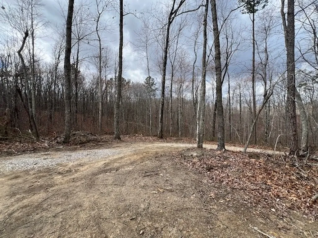 1023 Flat Rock Road Jamestown TN 38556