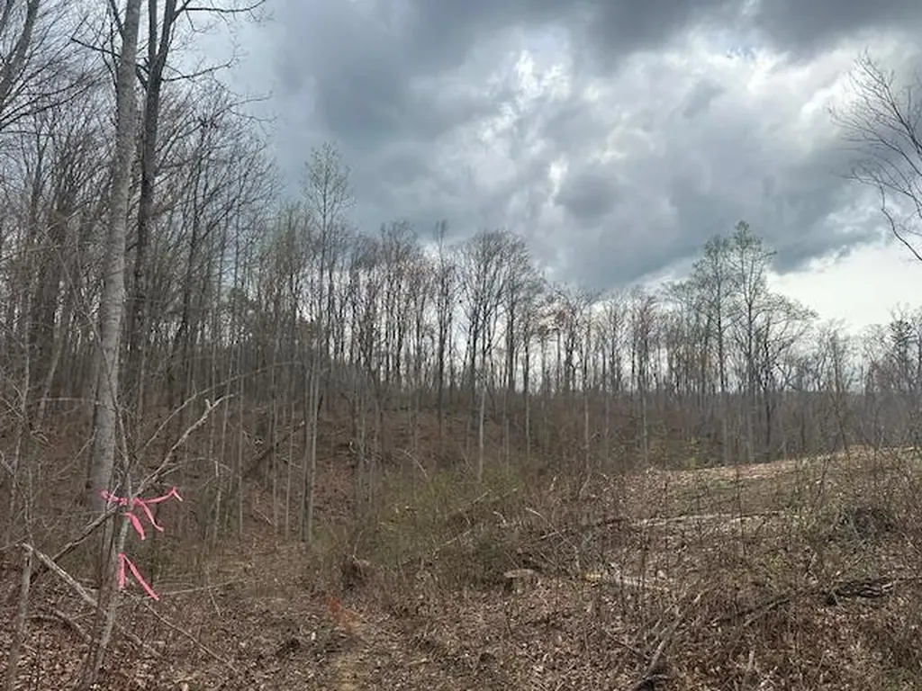 1023 Flat Rock Road Jamestown TN 38556