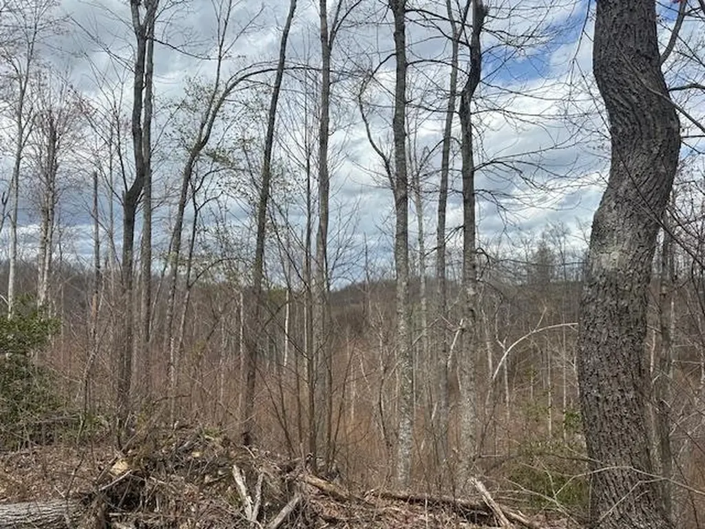 1023 Flat Rock Road Jamestown TN 38556