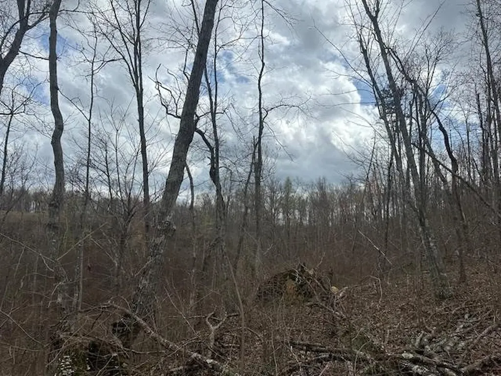 1023 Flat Rock Road Jamestown TN 38556