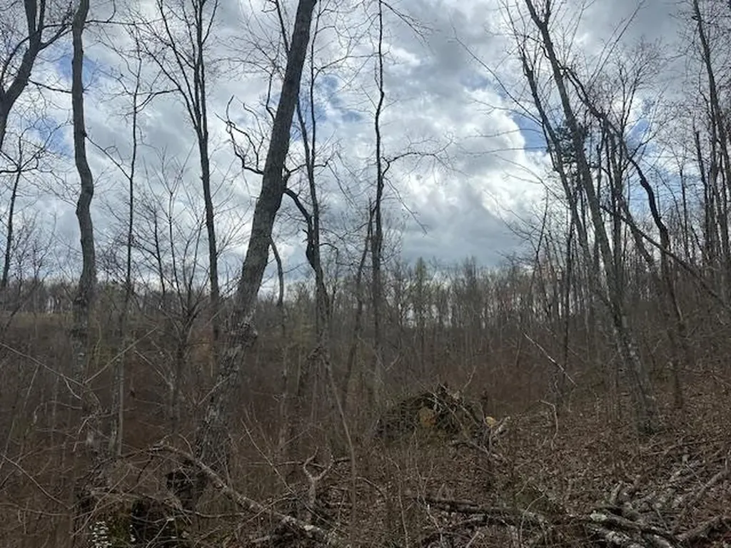 1023 Flat Rock Road Jamestown TN 38556