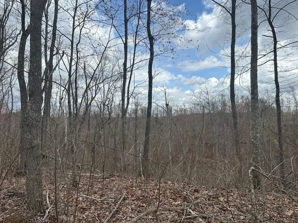 1023 Flat Rock Road Jamestown TN 38556