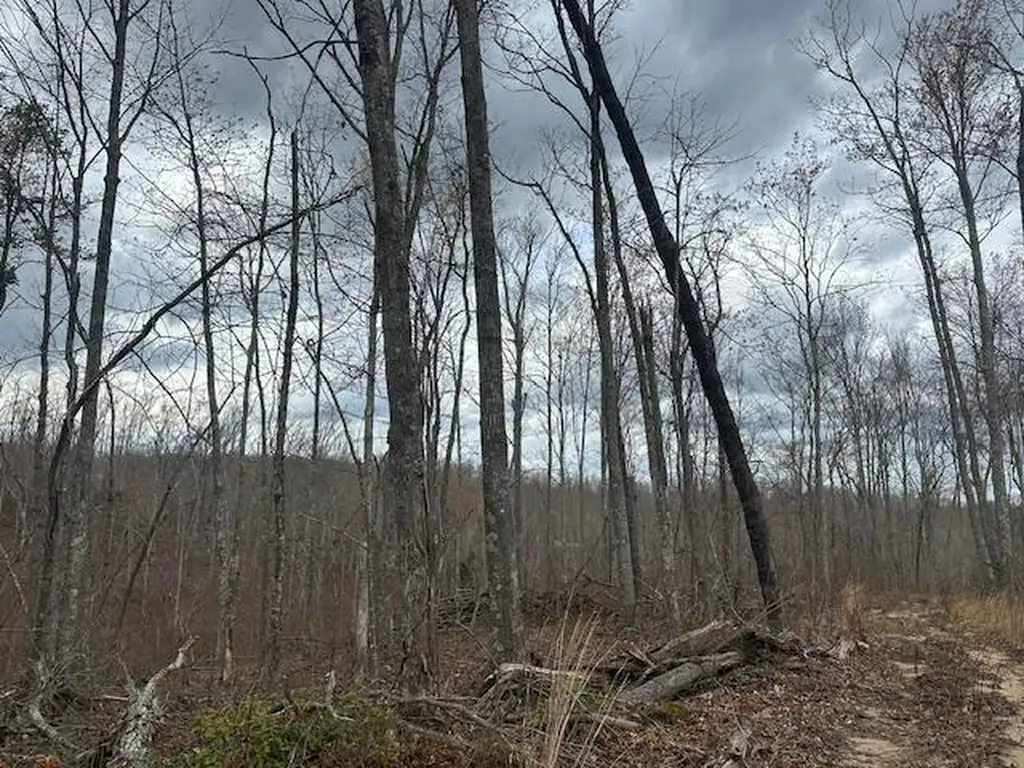 1023 Flat Rock Road Jamestown TN 38556