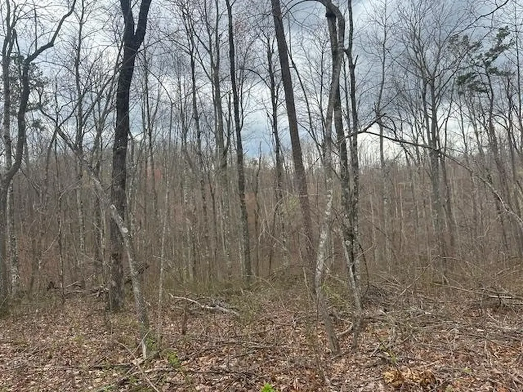 1023 Flat Rock Road Jamestown TN 38556
