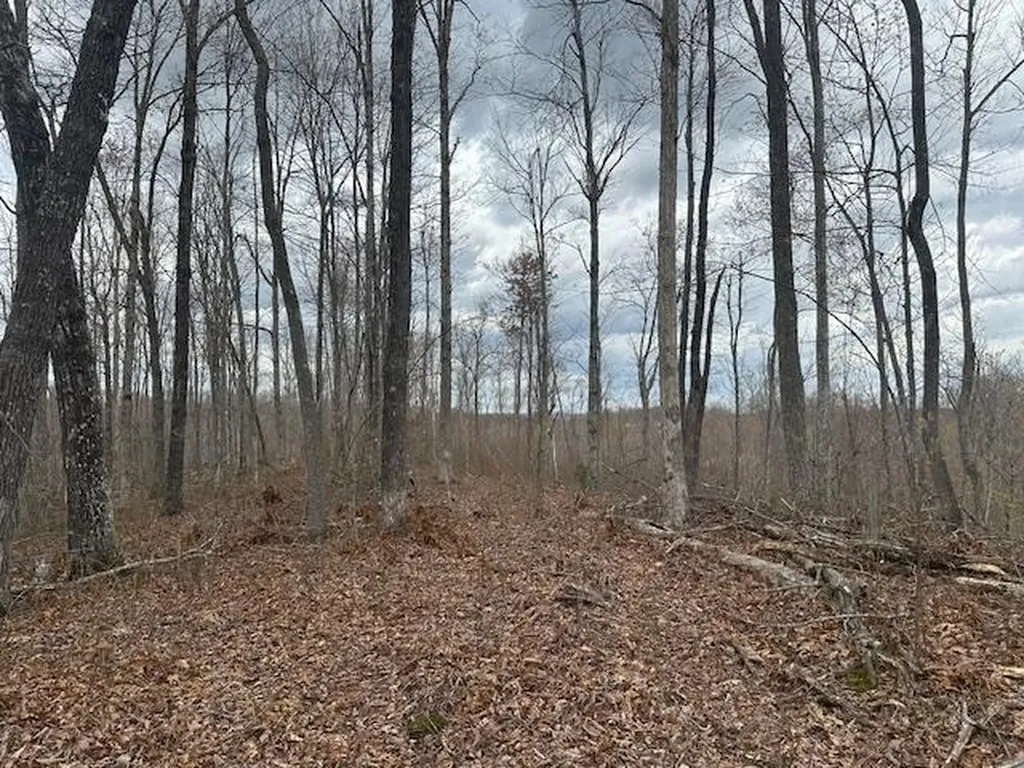 1023 Flat Rock Road Jamestown TN 38556