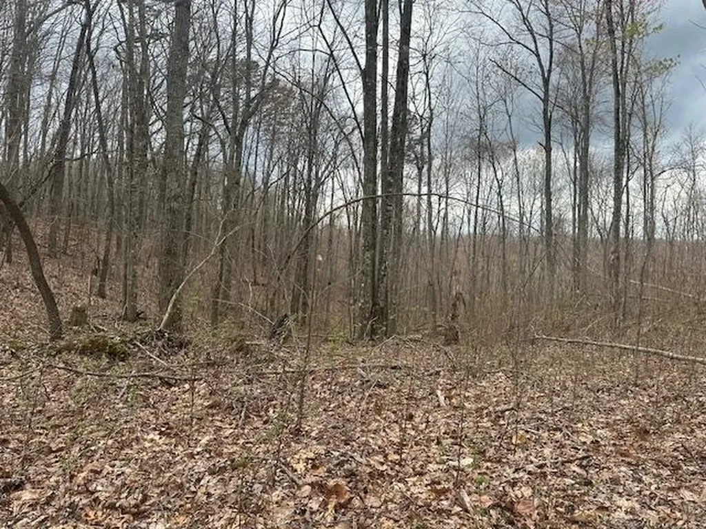 1023 Flat Rock Road Jamestown TN 38556
