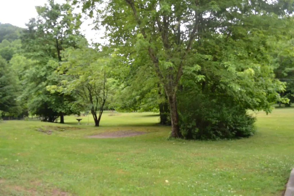 1505 Add Stafford Road Hilham TN 38568